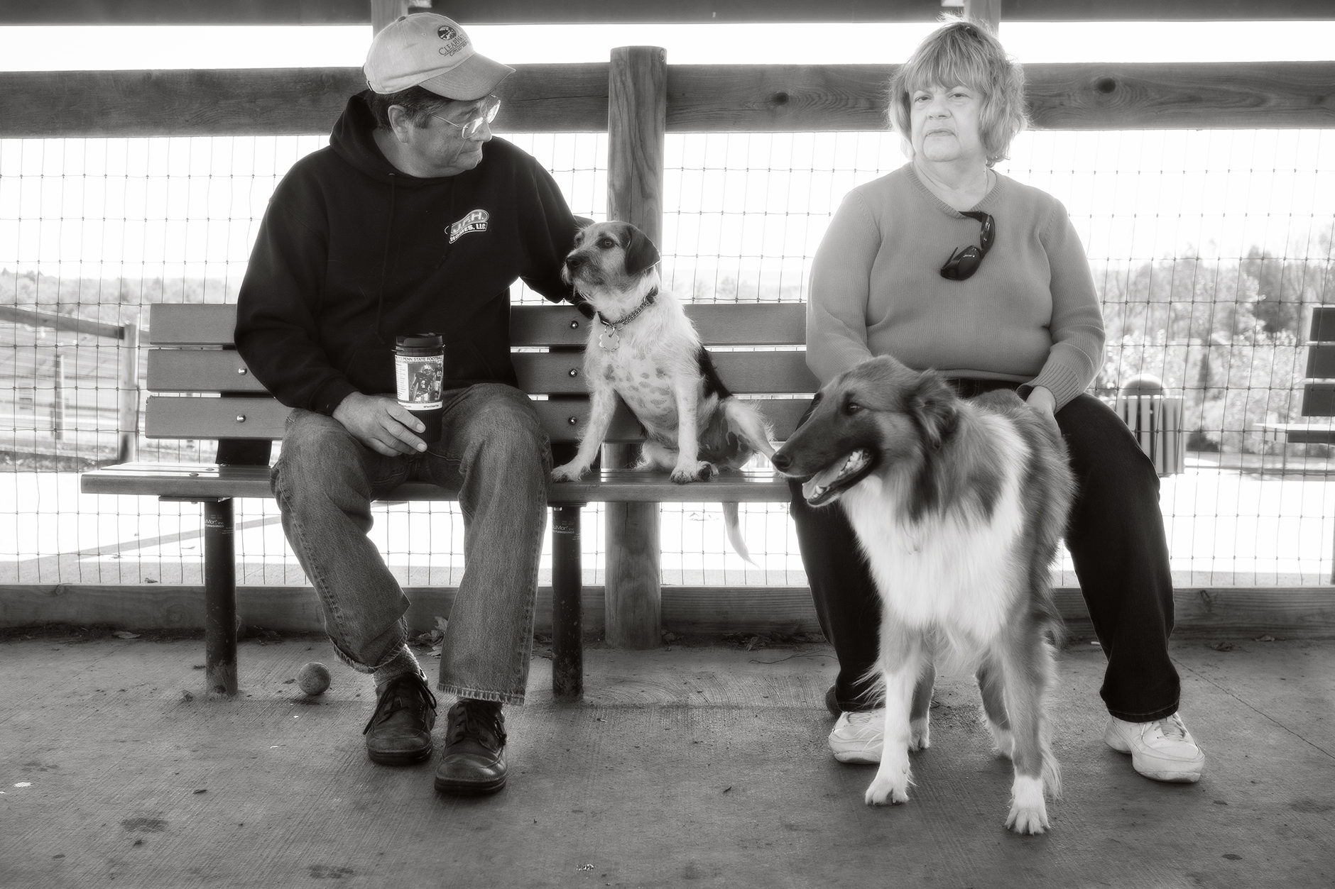 Do dogs look like their owners? A day A Photo