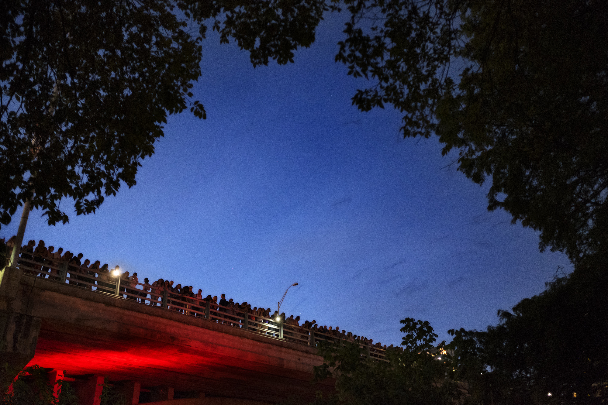 Austin bats A day A Photo