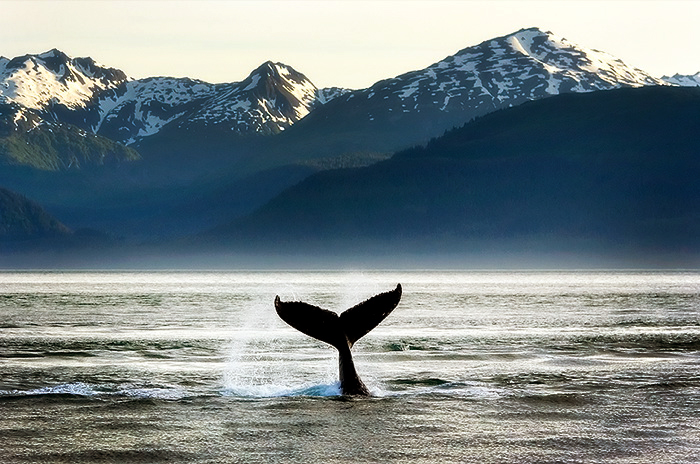 Juneau – 2006